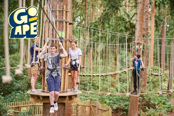 go ape grizedale forest