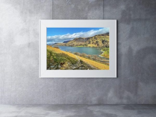 spring at buttermere print