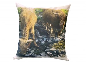 lake district cushion with highland cows
