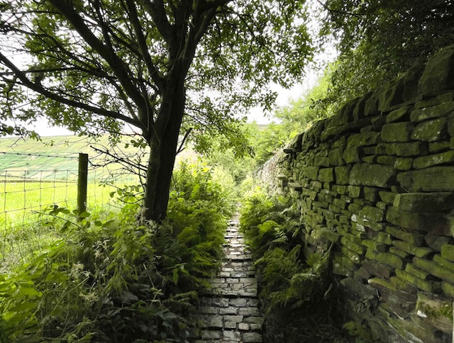 path to lumb falls
