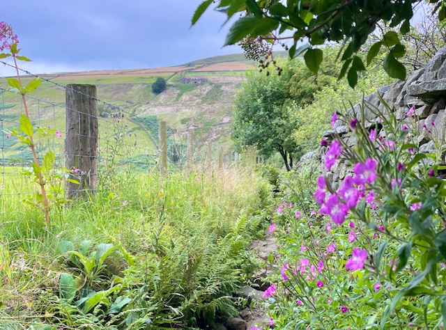 public bridleway