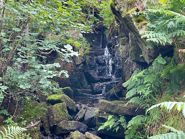 woodland waterfall