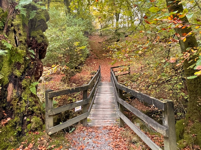 wooden bridge rydal