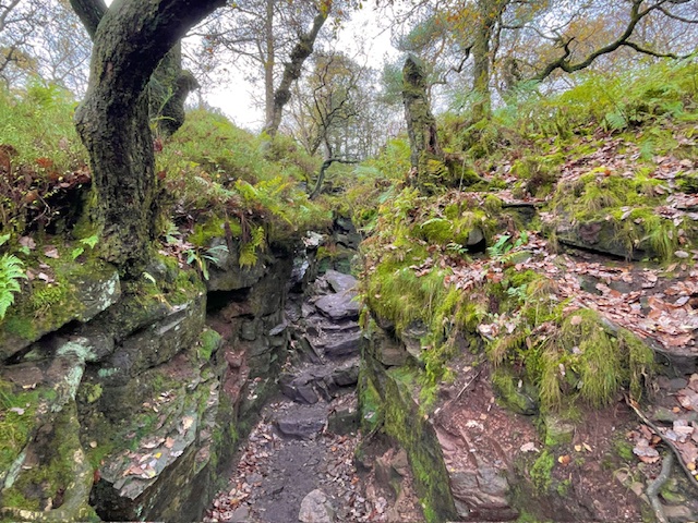 steps into luds church