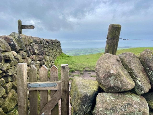 gate to the roaches