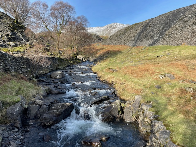 torver beck