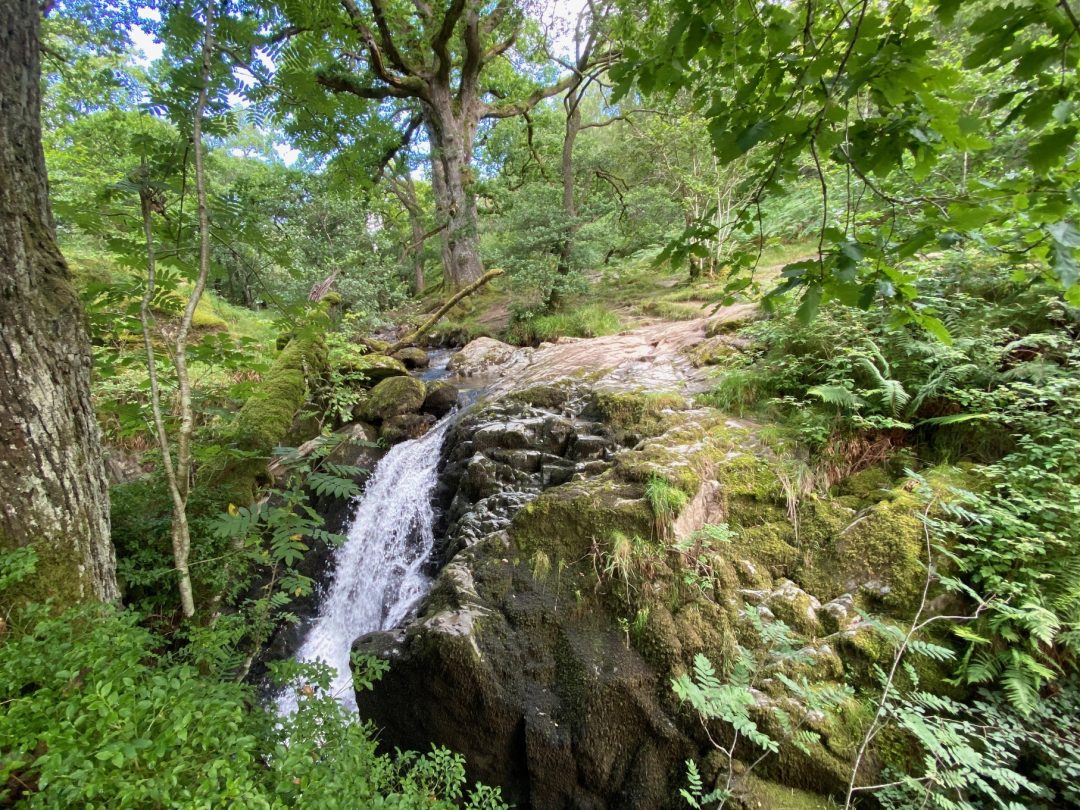 aira force summer walk