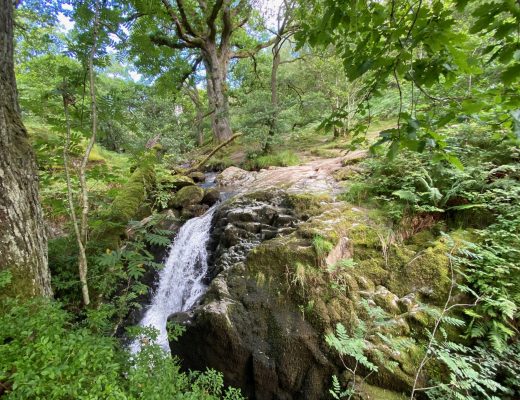 aira force summer walk