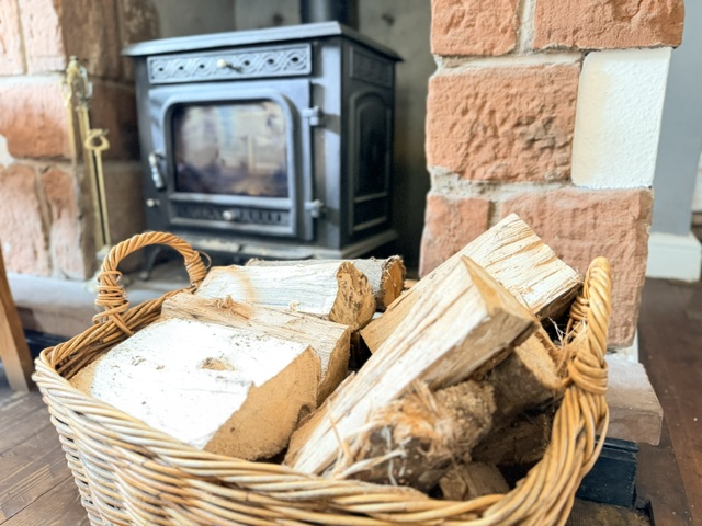 wood burner and logs