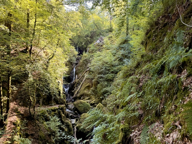 stock ghyll force