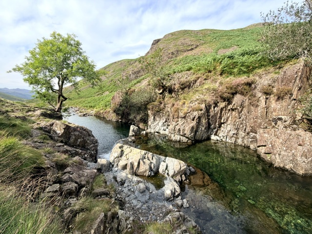 tongue pot eskdale