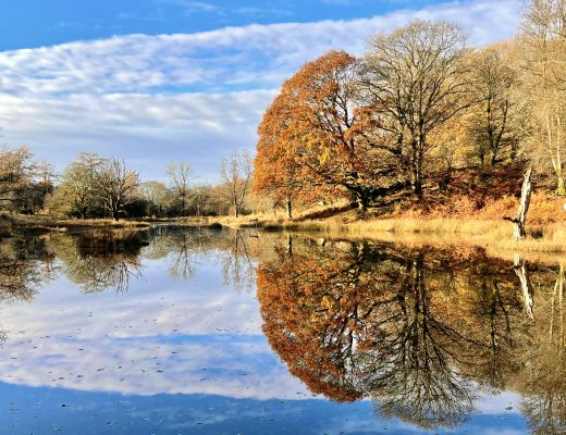 best autumn walks lake district
