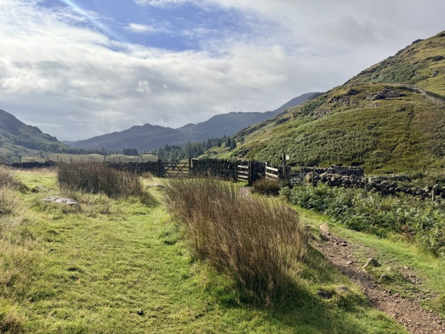 gate to cattle grid near blea tarn walk