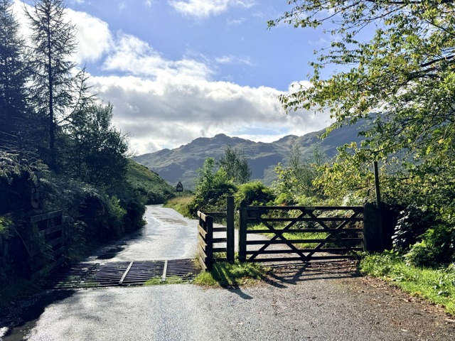 cattle grid near blea tarn