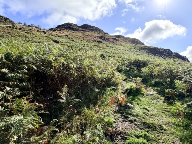 path up to lingmoor fell