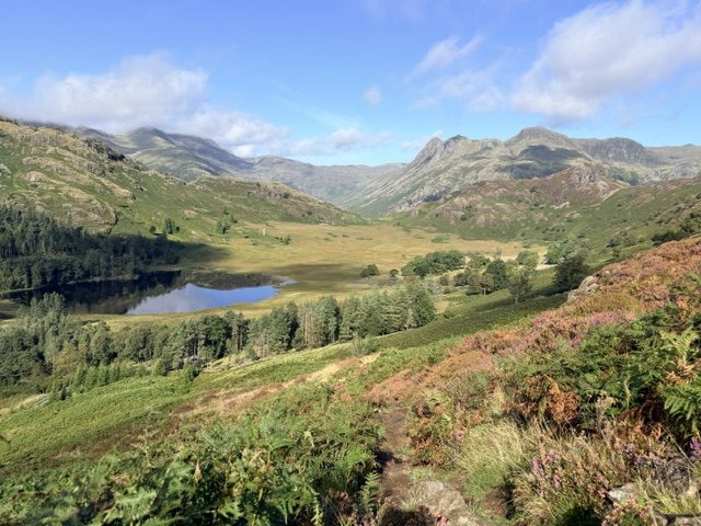 views over blea tarn and langdale pikes from lingmoor fell