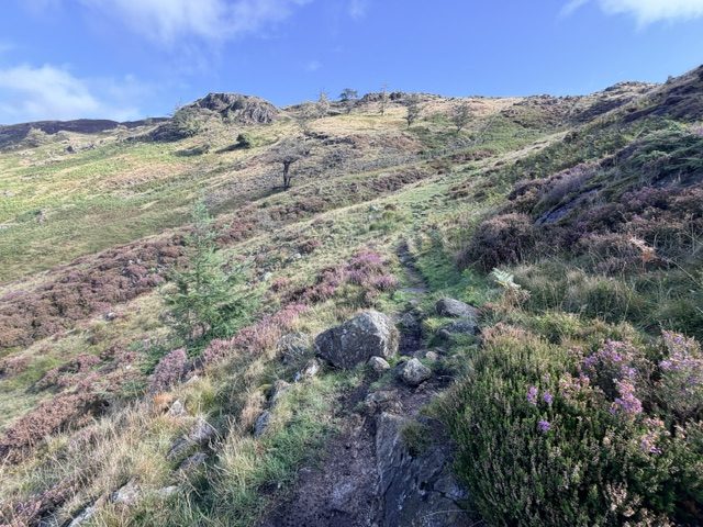 lingmoor fell walk
