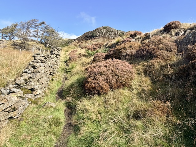 path up to lingmoor