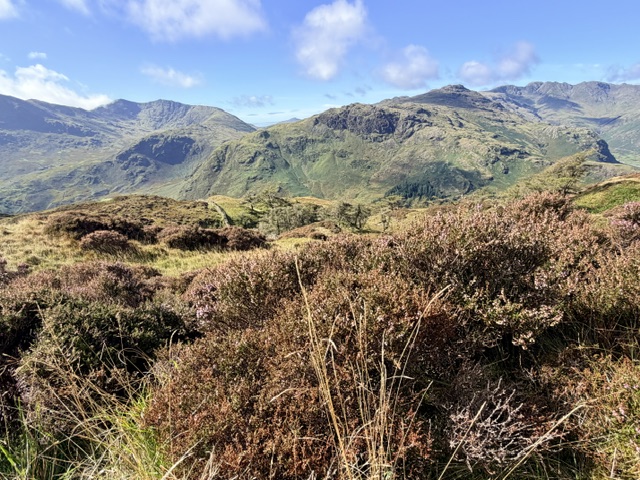 view from lingmoor