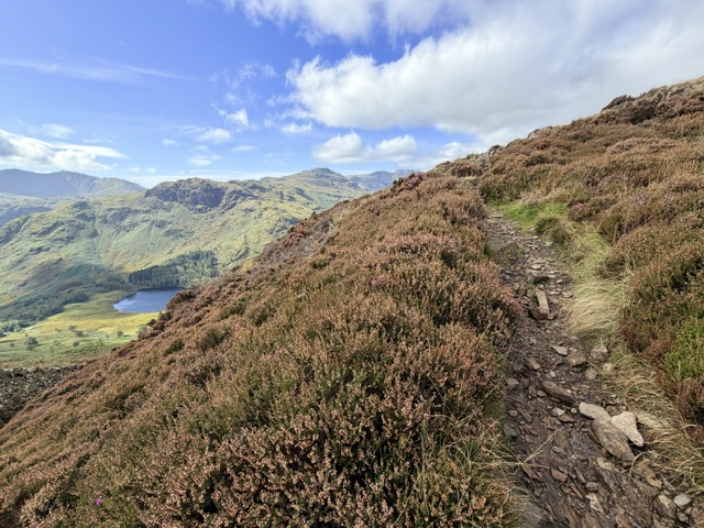 path up to knoll on lingmoor