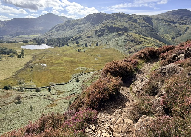 blea tarn from side pike