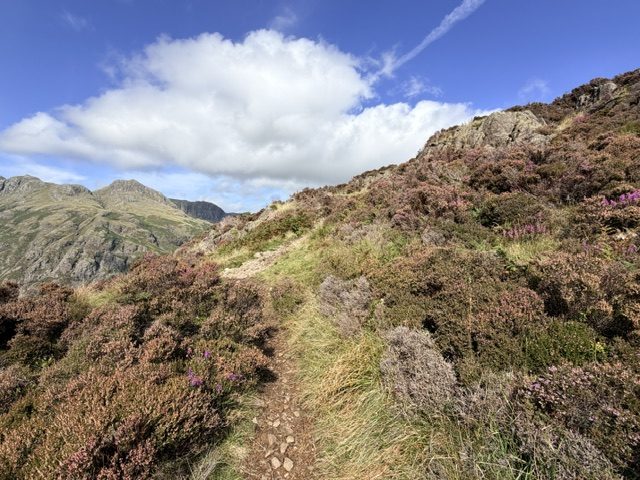 path up to side pike summit
