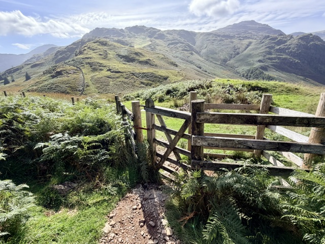 gate down to side gates