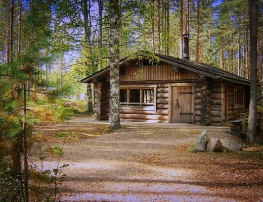wooden cabin in the woods