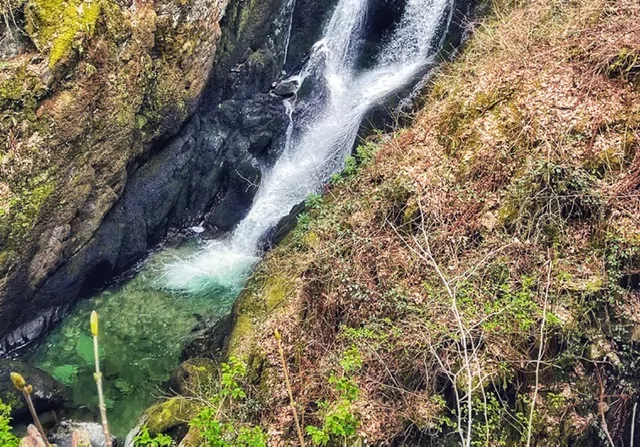 stock ghyll force waterfall in ambleside