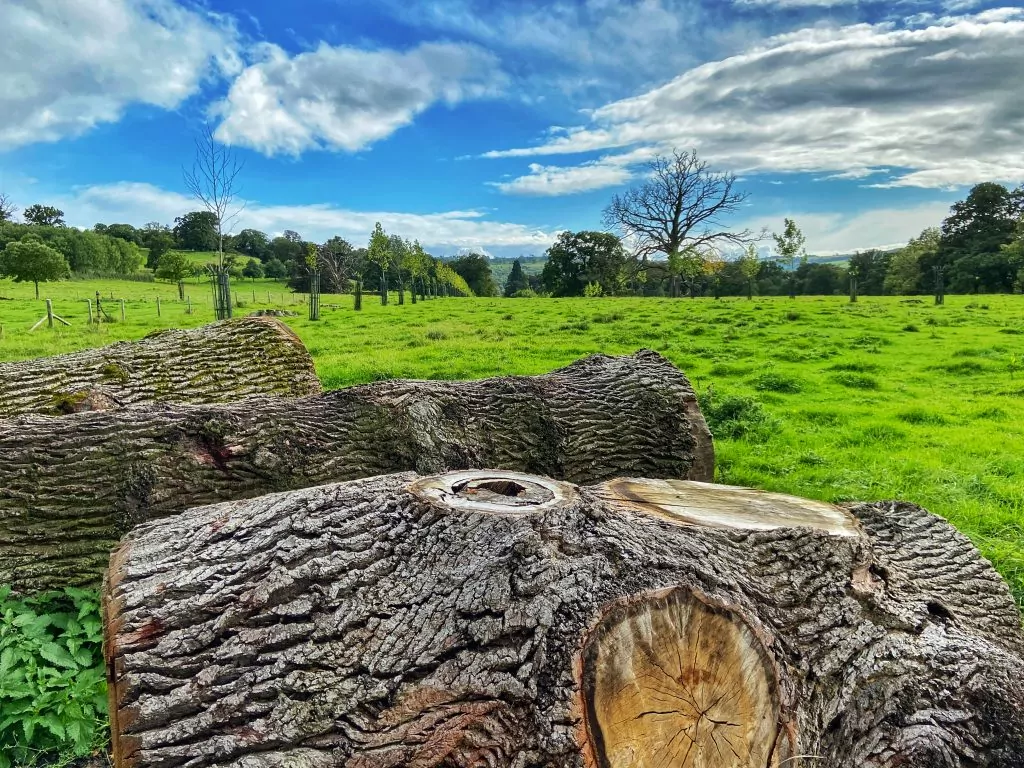Cotswolds countryside walks