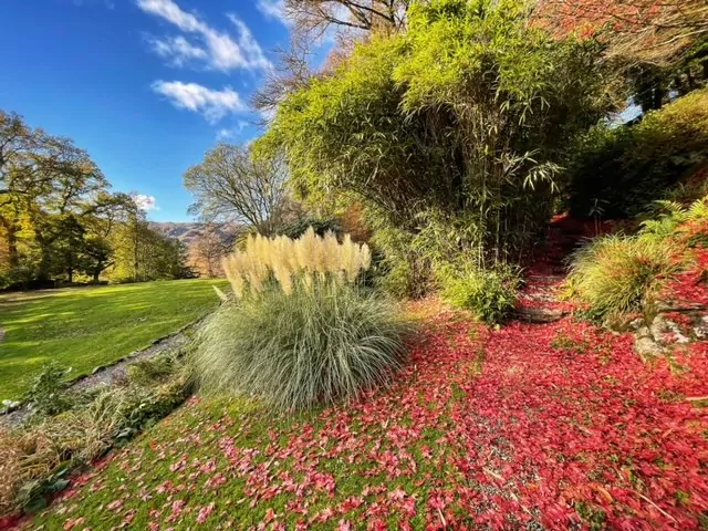 rydal mount autumn gardens